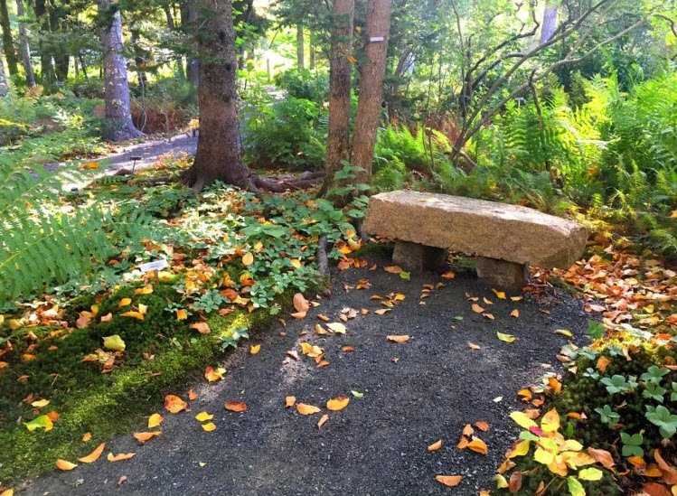 Wild Gardens of Acadia, United States